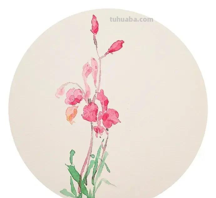 快看看这组清新怡人的水彩插画,手残党福音!不学就亏了 快看看这组清新怡人的水彩插画,手残党福音!不学就亏了