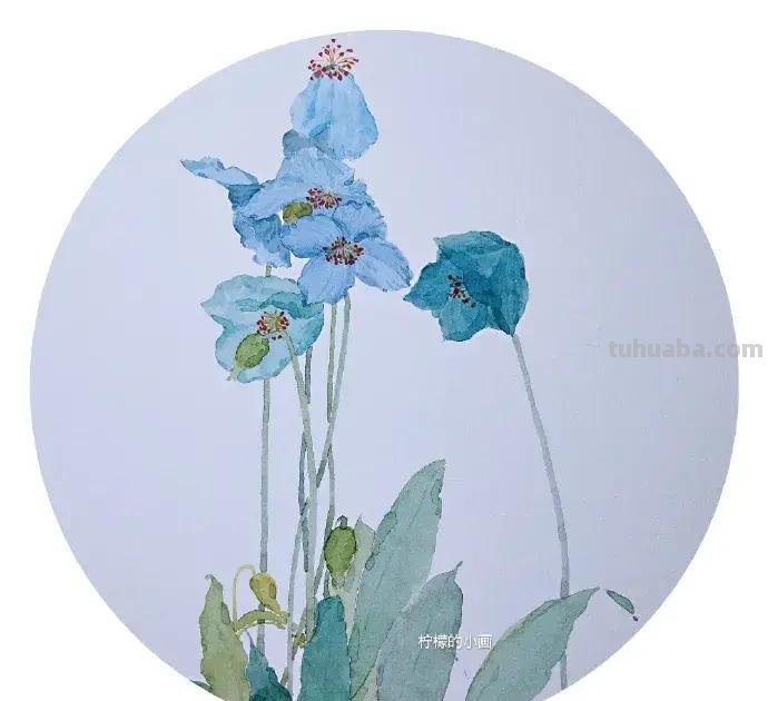 快看看这组清新怡人的水彩插画,手残党福音!不学就亏了 快看看这组清新怡人的水彩插画,手残党福音!不学就亏了