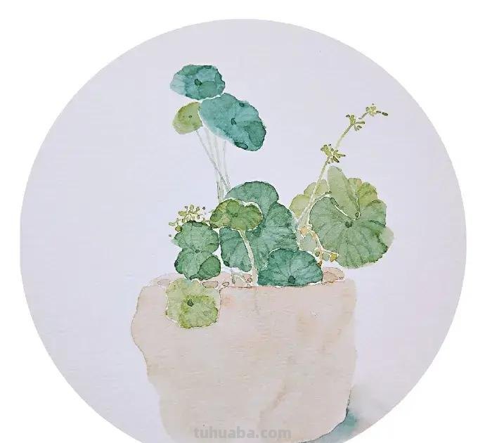 快看看这组清新怡人的水彩插画,手残党福音!不学就亏了 快看看这组清新怡人的水彩插画,手残党福音!不学就亏了