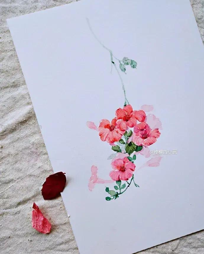 快看看这组清新怡人的水彩插画,手残党福音!不学就亏了 快看看这组清新怡人的水彩插画,手残党福音!不学就亏了