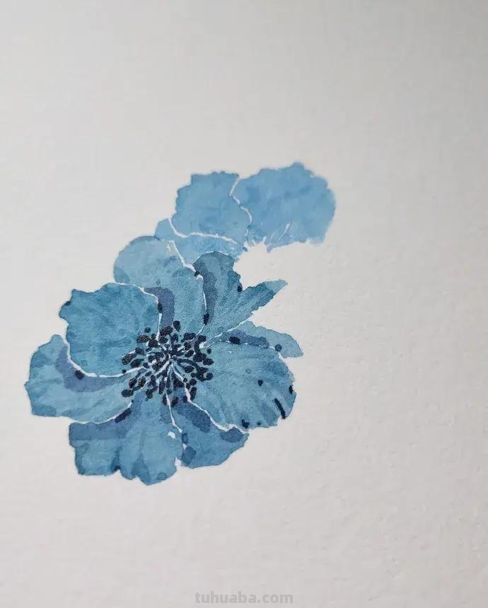 快看看这组清新怡人的水彩插画,手残党福音!不学就亏了 快看看这组清新怡人的水彩插画,手残党福音!不学就亏了