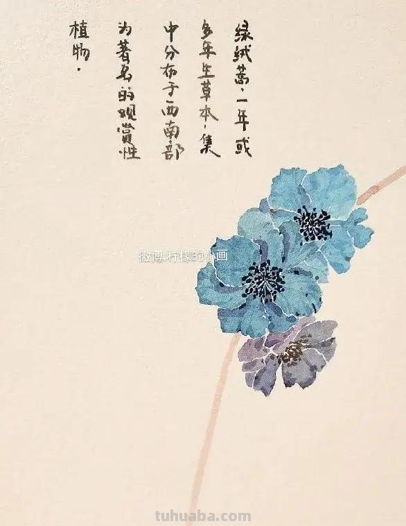 快看看这组清新怡人的水彩插画,手残党福音!不学就亏了 快看看这组清新怡人的水彩插画,手残党福音!不学就亏了