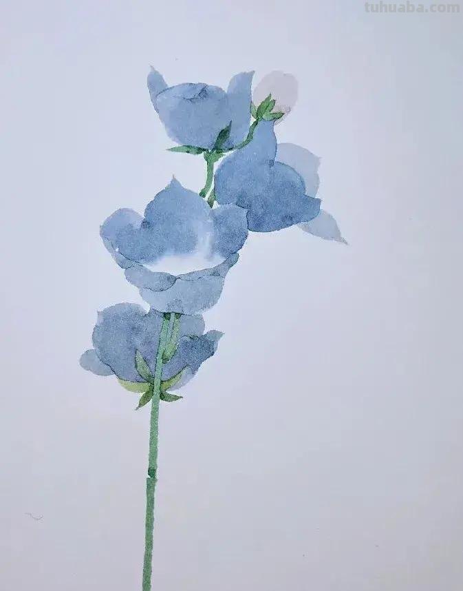 快看看这组清新怡人的水彩插画,手残党福音!不学就亏了 快看看这组清新怡人的水彩插画,手残党福音!不学就亏了