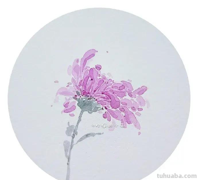 快看看这组清新怡人的水彩插画,手残党福音!不学就亏了 快看看这组清新怡人的水彩插画,手残党福音!不学就亏了