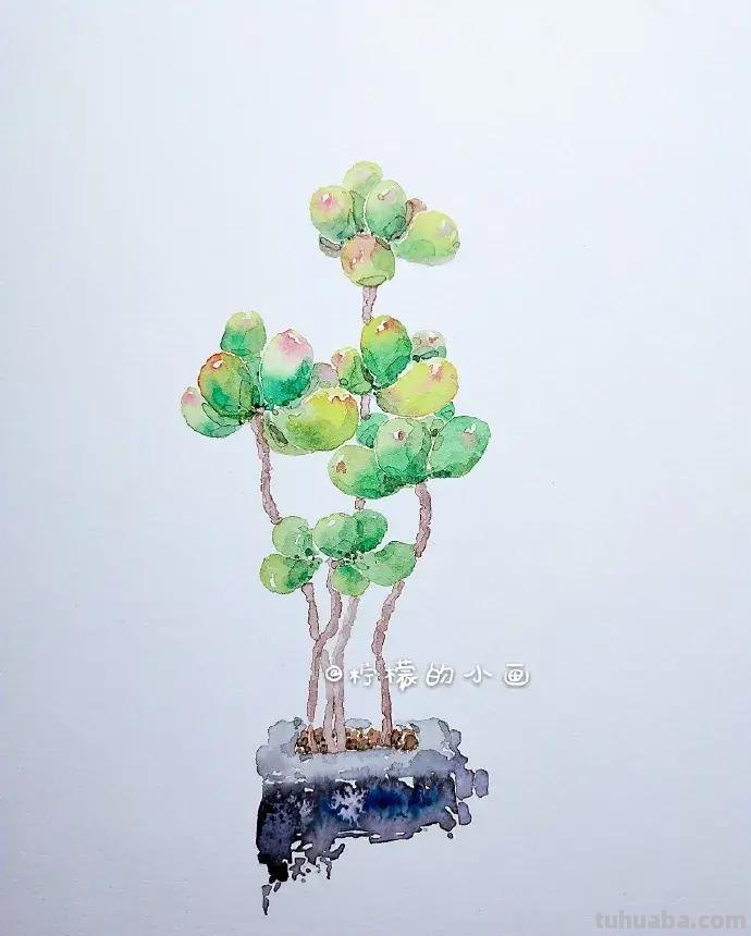 快看看这组清新怡人的水彩插画,手残党福音!不学就亏了 快看看这组清新怡人的水彩插画,手残党福音!不学就亏了