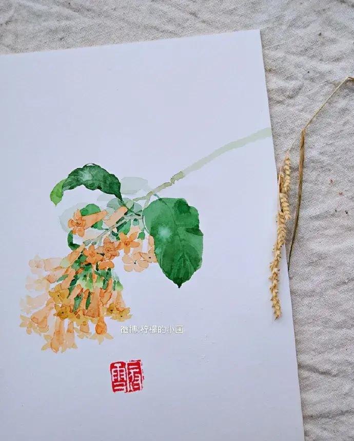 快看看这组清新怡人的水彩插画,手残党福音!不学就亏了 快看看这组清新怡人的水彩插画,手残党福音!不学就亏了