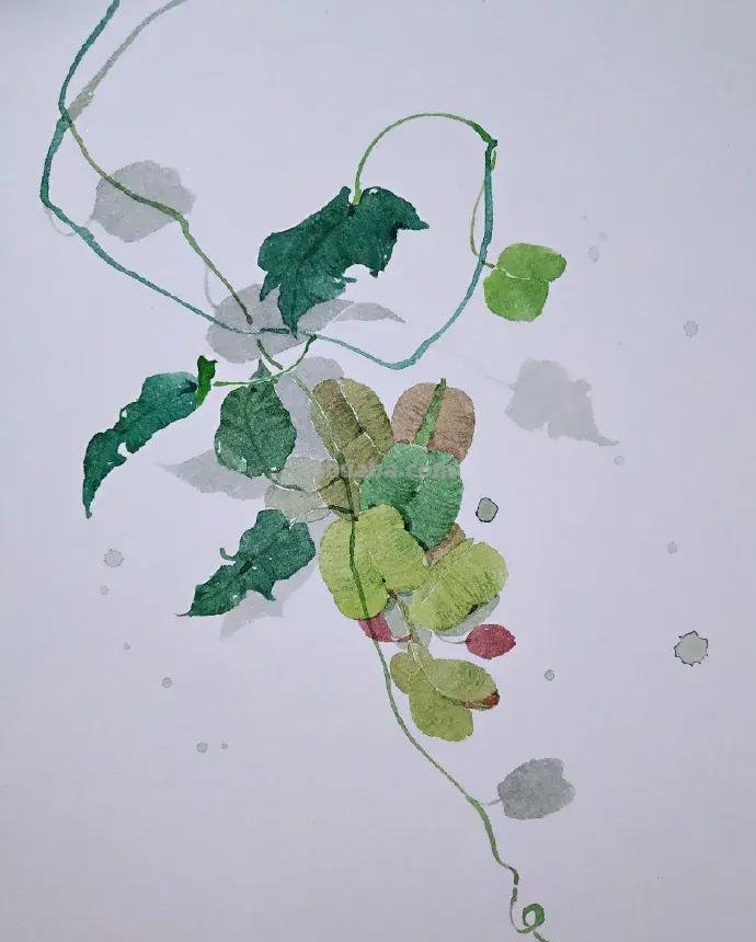 快看看这组清新怡人的水彩插画,手残党福音!不学就亏了 快看看这组清新怡人的水彩插画,手残党福音!不学就亏了