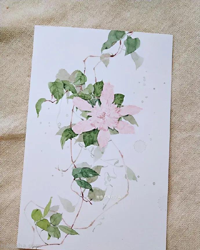 快看看这组清新怡人的水彩插画,手残党福音!不学就亏了 快看看这组清新怡人的水彩插画,手残党福音!不学就亏了