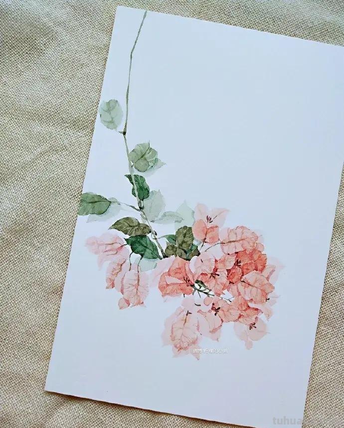 快看看这组清新怡人的水彩插画,手残党福音!不学就亏了 快看看这组清新怡人的水彩插画,手残党福音!不学就亏了