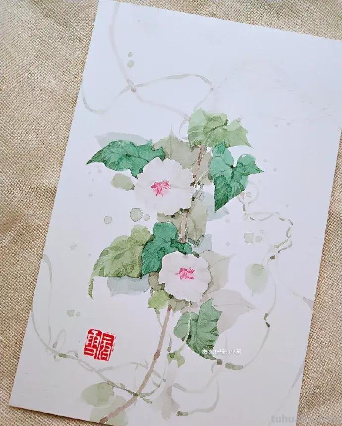 快看看这组清新怡人的水彩插画,手残党福音!不学就亏了 快看看这组清新怡人的水彩插画,手残党福音!不学就亏了