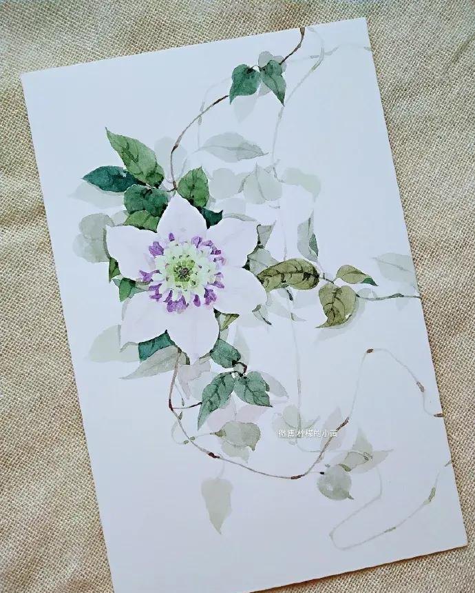 快看看这组清新怡人的水彩插画,手残党福音!不学就亏了 快看看这组清新怡人的水彩插画,手残党福音!不学就亏了