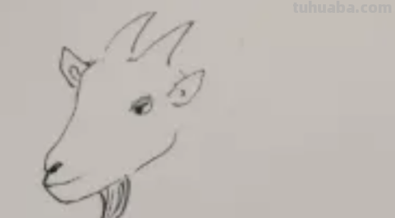 山羊怎么画图片