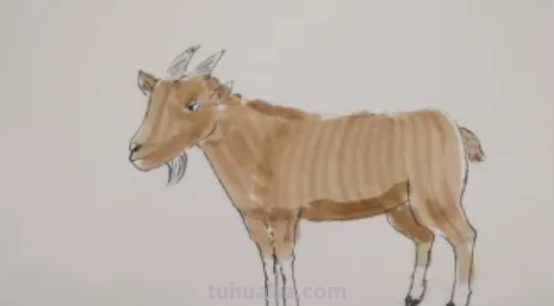 山羊怎么画图片