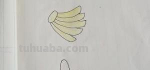 简笔画香蕉怎么画 香蕉应该怎么画？