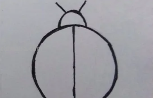 七星瓢虫怎么画简笔画