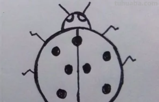 七星瓢虫怎么画简笔画