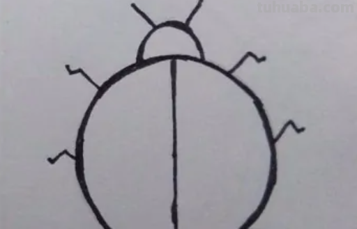七星瓢虫怎么画简笔画