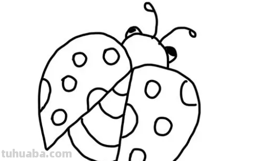 七星瓢虫怎么画 漂亮