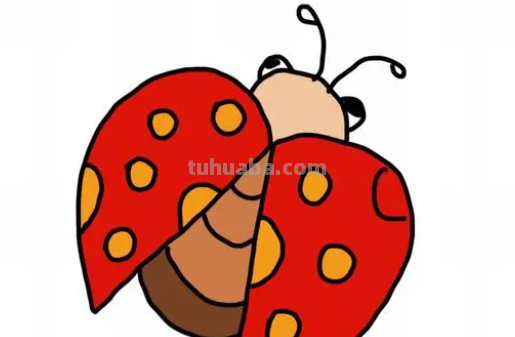 七星瓢虫怎么画 漂亮