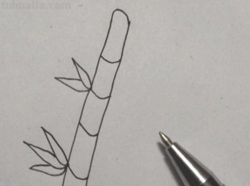 竹叶怎么画简笔画 画竹子的简笔画？