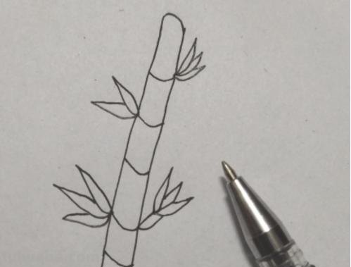 竹叶怎么画简笔画 画竹子的简笔画？