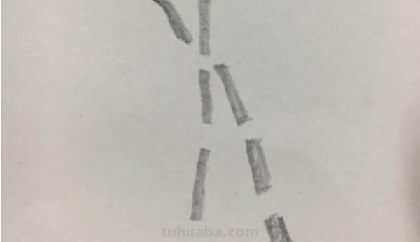 竹叶怎么画简笔画 画竹子的简笔画？