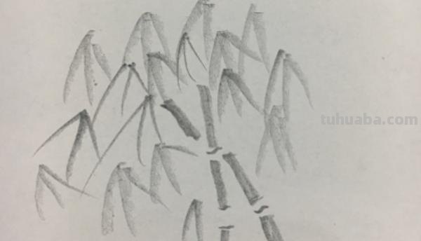 竹叶怎么画简笔画 画竹子的简笔画？