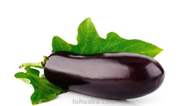 茄子怎么画简单