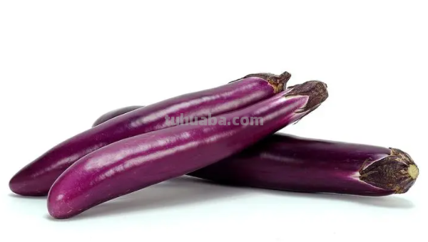 茄子怎么画简单