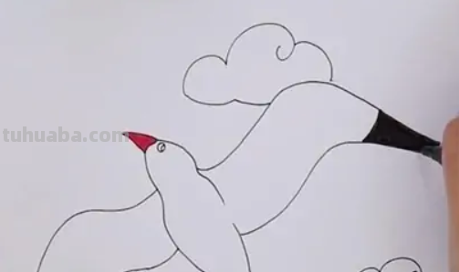 海鸥怎么画