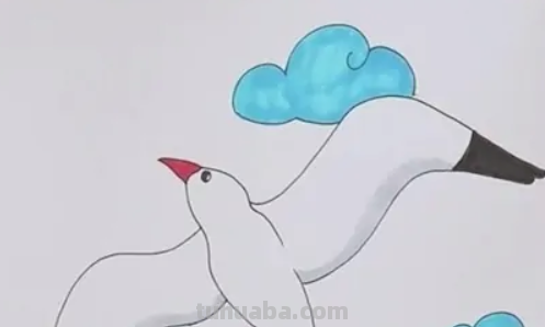海鸥怎么画