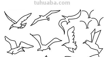 海鸥的简笔画怎么画