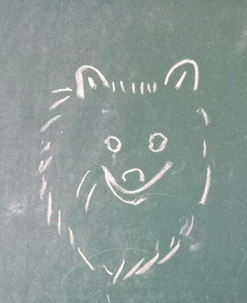 简笔画狗狗怎么画 儿童简笔画毛绒小狗的画法? 简笔画狗狗怎么画 儿童简笔画毛绒小狗的画法?