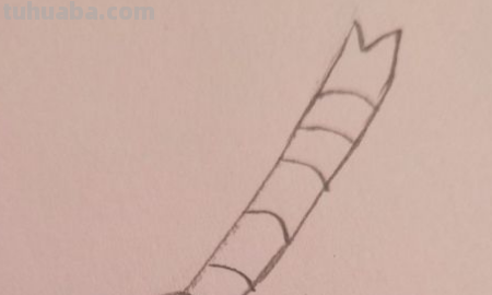 蜻蜓简笔画怎么画