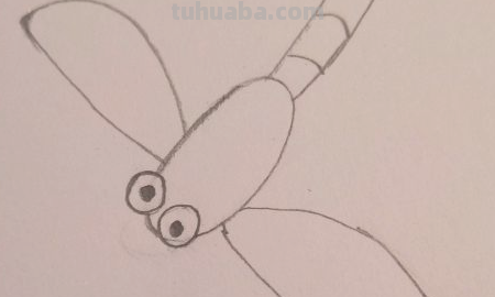 蜻蜓简笔画怎么画