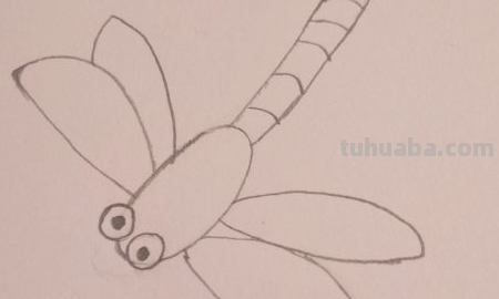 蜻蜓简笔画怎么画