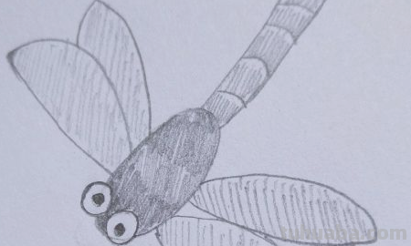 蜻蜓简笔画怎么画