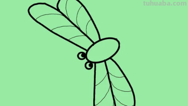 蜻蜓的简笔画怎么画