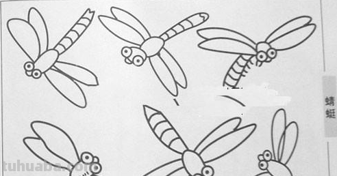 蜻蜓简笔画分步骤图解 蜻蜓简笔画怎么画图解 蜻蜓不同形态简笔画 如何...