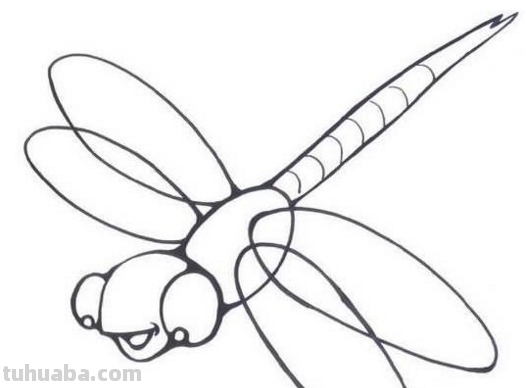 蜻蜓简笔画分步骤图解 蜻蜓简笔画怎么画图解 蜻蜓不同形态简笔画 如何...
