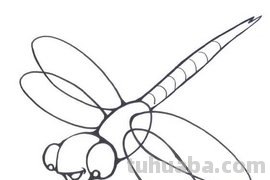 蜻蜓简笔画的翅膀有哪些画法