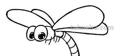 蜻蜓简笔画的翅膀有哪些画法