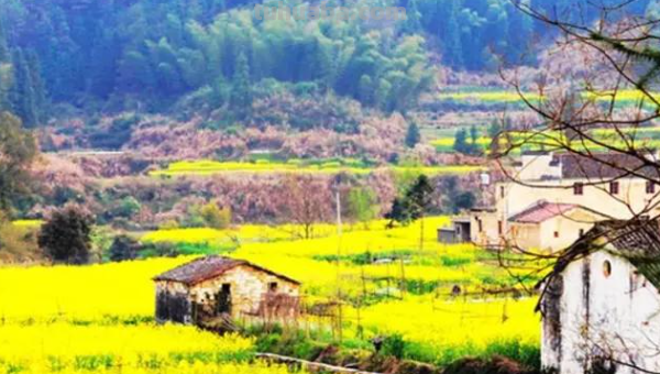 清明节手抄报怎么画的