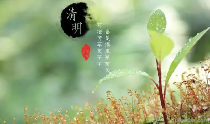 清明节主题手抄报怎么画