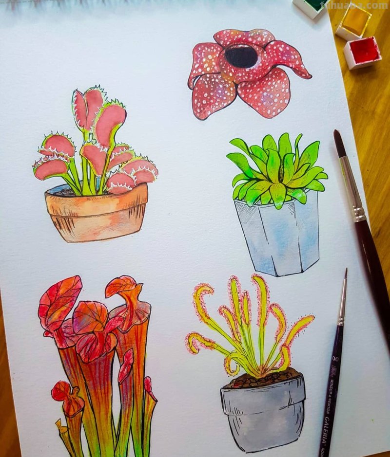 动漫风水彩插画 仙气逼人 学水彩就画这种