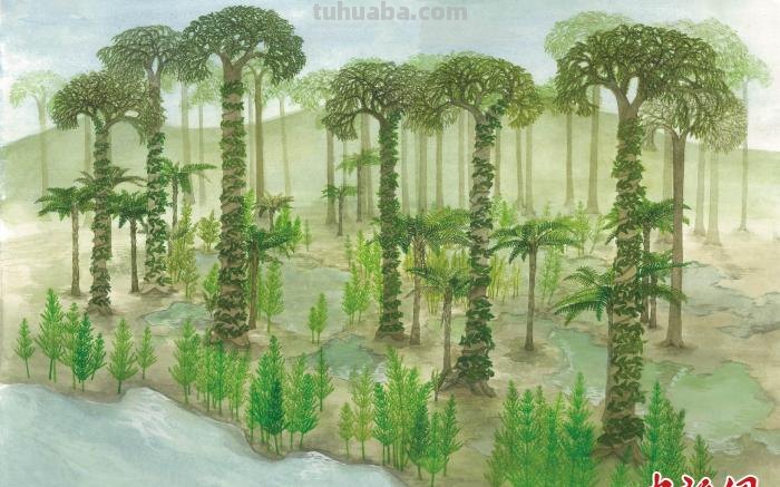 武汉一高校师生耗时三年 手绘远古植物科普书籍