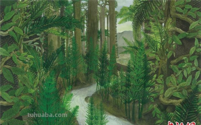 武汉一高校师生耗时三年 手绘远古植物科普书籍