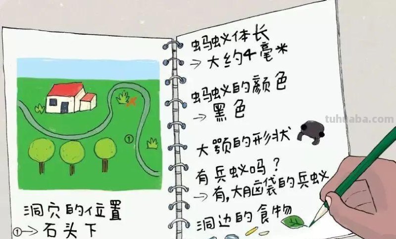 春日有幸，5个户外自然科学探索活动，让孩子的周末充满意义！