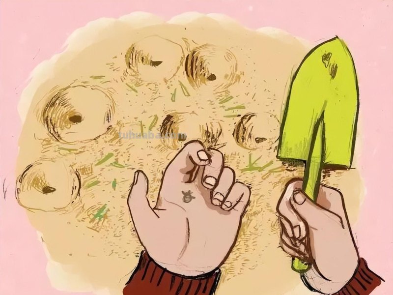 春日有幸，5个户外自然科学探索活动，让孩子的周末充满意义！
