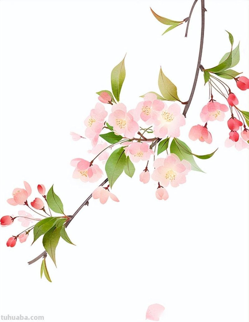 春日有幸，5个户外自然科学探索活动，让孩子的周末充满意义！